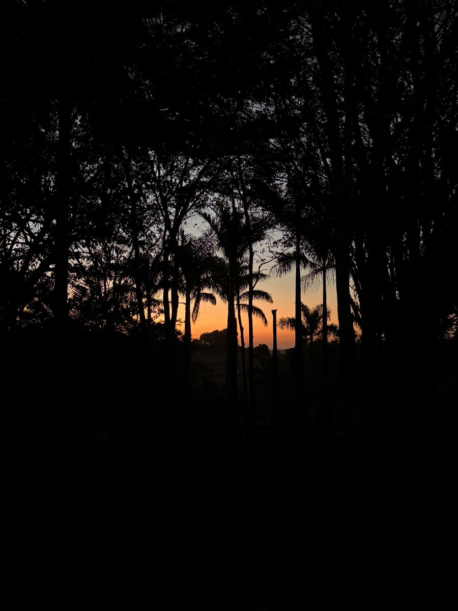 GM and TGIF ☕️☀️

Spending time with the family in Brazil is always a blessing 

Time to head back to the grind (so I can buy more NFTs 🦎🦕🙌🏼🌋

Happy Friday everyone! 🇧🇷➡️🇬🇧