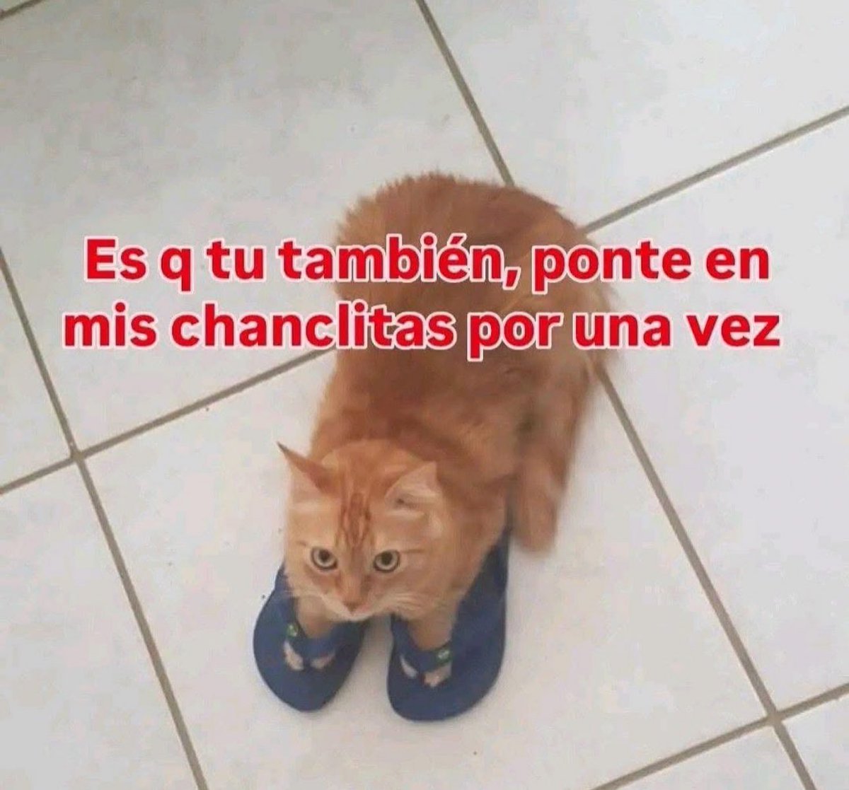 piña sin pizza (@skereunpesado) on Twitter photo 