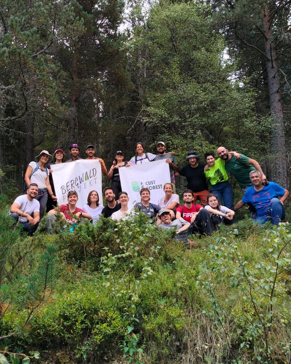 Projecte Boscos de Muntanya tweet media