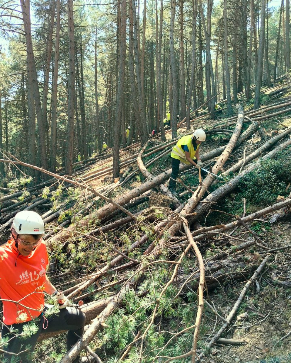 Què fem amb els arbres que tallem?
🌲➡🔥➡🏠 La fusta de la #gestióforestal a Esterri de Cardós alimenta una caldera de #biomassa que escalfa: pisos socials, l’ajuntament i el local municipal

<a href="/custforest/">CustForest</a> i <a href="/FBiodiversidad/">Fundación Biodiversidad</a>
#ProyectosPRTR  #PlanDeRecuperación #NextGenerationEU