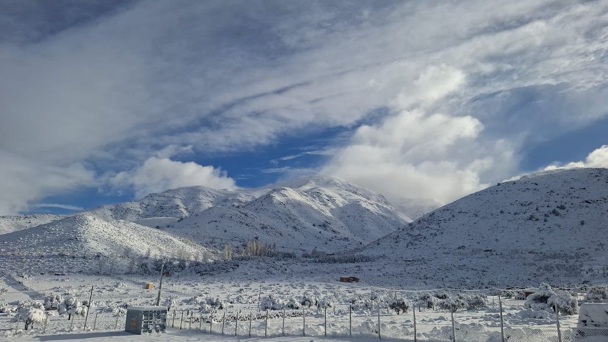 CataDeLosCerros🏔 tweet media