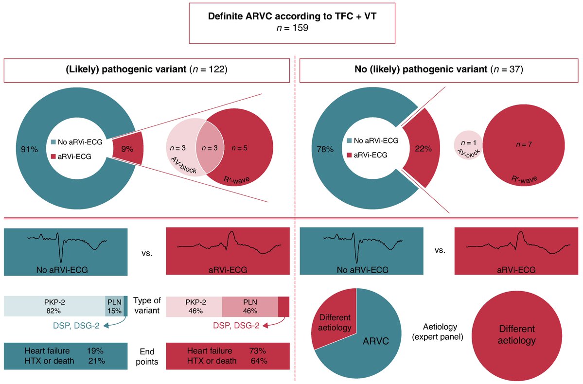 Europace Editor-in-Chief (@europaceeic) on Twitter photo #Europace #Epeeps
⚡️Different underlying aetiologies in patients with #VT fulfilling TFC for #ARVC: initial suspicion based on ECG
📑doi.org/10.1093/europa…
@GiulioConte <a href="/FraSantoroMD/">Francesco Santoro, MD, PhD</a> <a href="/marcovitoloMD/">Marco Vitolo Ⓜ️</a> <a href="/Dominik_Linz/">Dominik Linz</a> <a href="/DavideMei93/">Davide Mei</a> <a href="/AndyZhangMD/">Xiaodong Zhang (Andy), MD, PhD, FHRS, FACC</a> <a href="/LuigiDiBiaseMD/">Luigi Di Biase</a> <a href="/ESC_Journals/">European Society of Cardiology Journals</a> #Europace #Epeeps
⚡️Different underlying aetiologies in patients with #VT fulfilling TFC for #ARVC: initial suspicion based on ECG
📑doi.org/10.1093/europa…
@GiulioConte <a href="/FraSantoroMD/">Francesco Santoro, MD, PhD</a> <a href="/marcovitoloMD/">Marco Vitolo Ⓜ️</a> <a href="/Dominik_Linz/">Dominik Linz</a> <a href="/DavideMei93/">Davide Mei</a> <a href="/AndyZhangMD/">Xiaodong Zhang (Andy), MD, PhD, FHRS, FACC</a> <a href="/LuigiDiBiaseMD/">Luigi Di Biase</a> <a href="/ESC_Journals/">European Society of Cardiology Journals</a>