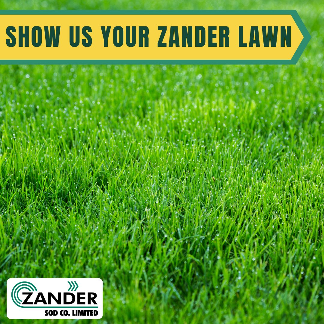 Do you have a residential or commercial #lawn courtesy of #ZanderSod that you are proud of? One that has survived the abnormally hot and dry summer?

Show us your beautiful lawns. Tag us! Who knows, maybe it will make it into our yearly calendar with your permission of course!