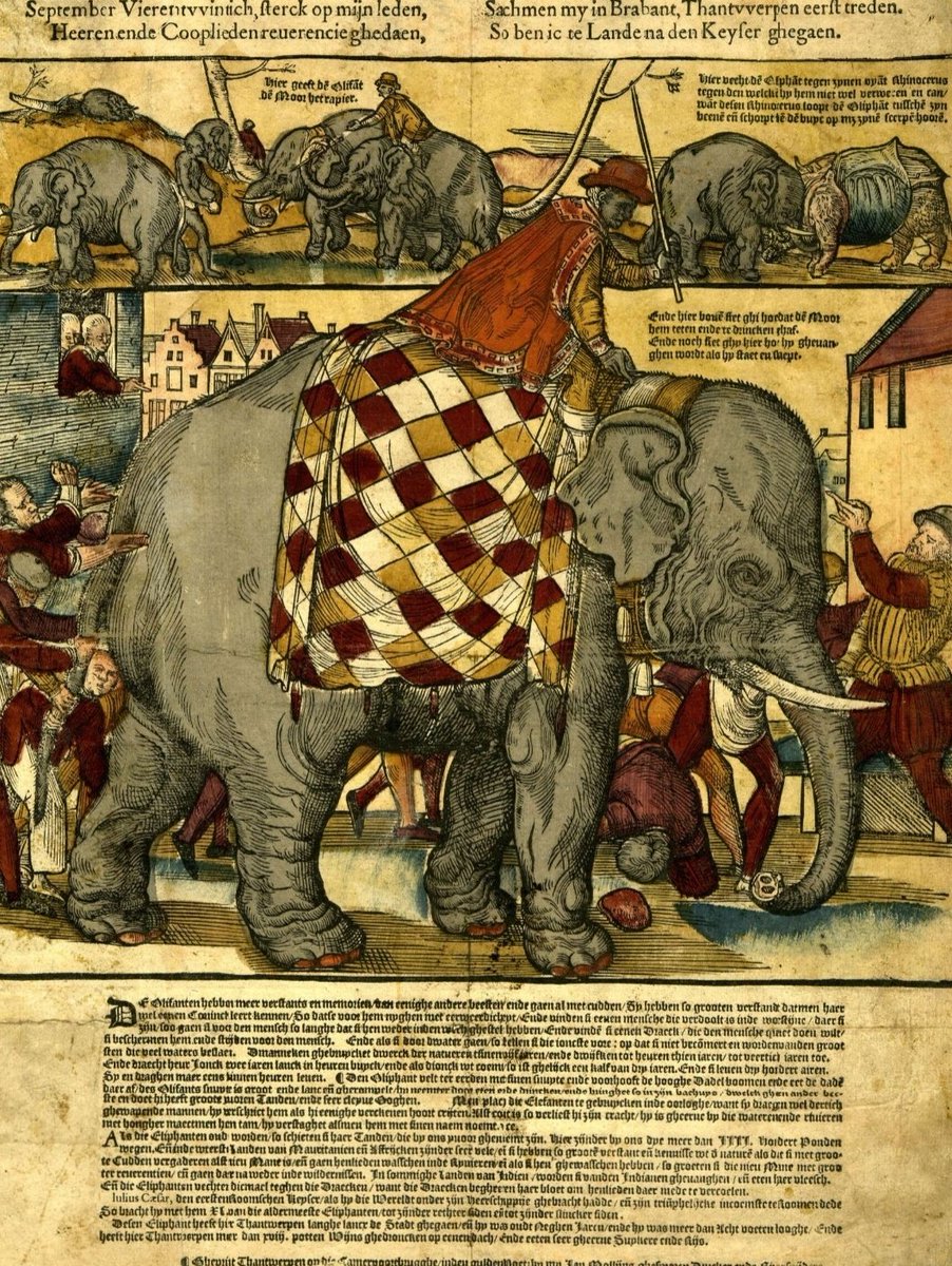 An elephant with its Indian mahout riding through Antwerp
Belgium, 1563