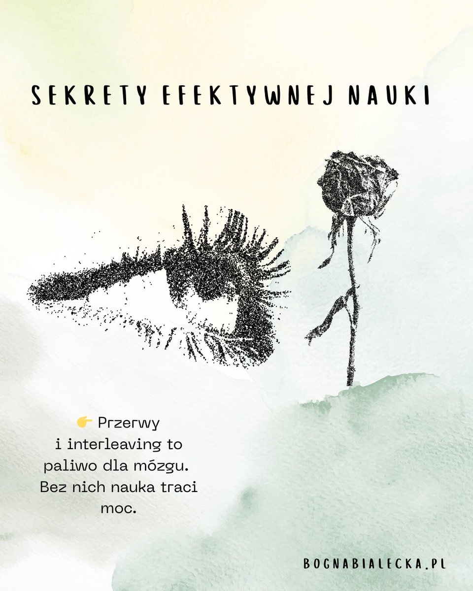 BiaBogna's tweet photo. Tradycyjnie całość artykułu:
"Sekret skutecznej nauki. Co mówi neurobiologia o zapamiętywaniu?"
https://t.co/Y0zOf8VIhW https://t.co/e55Layv29O