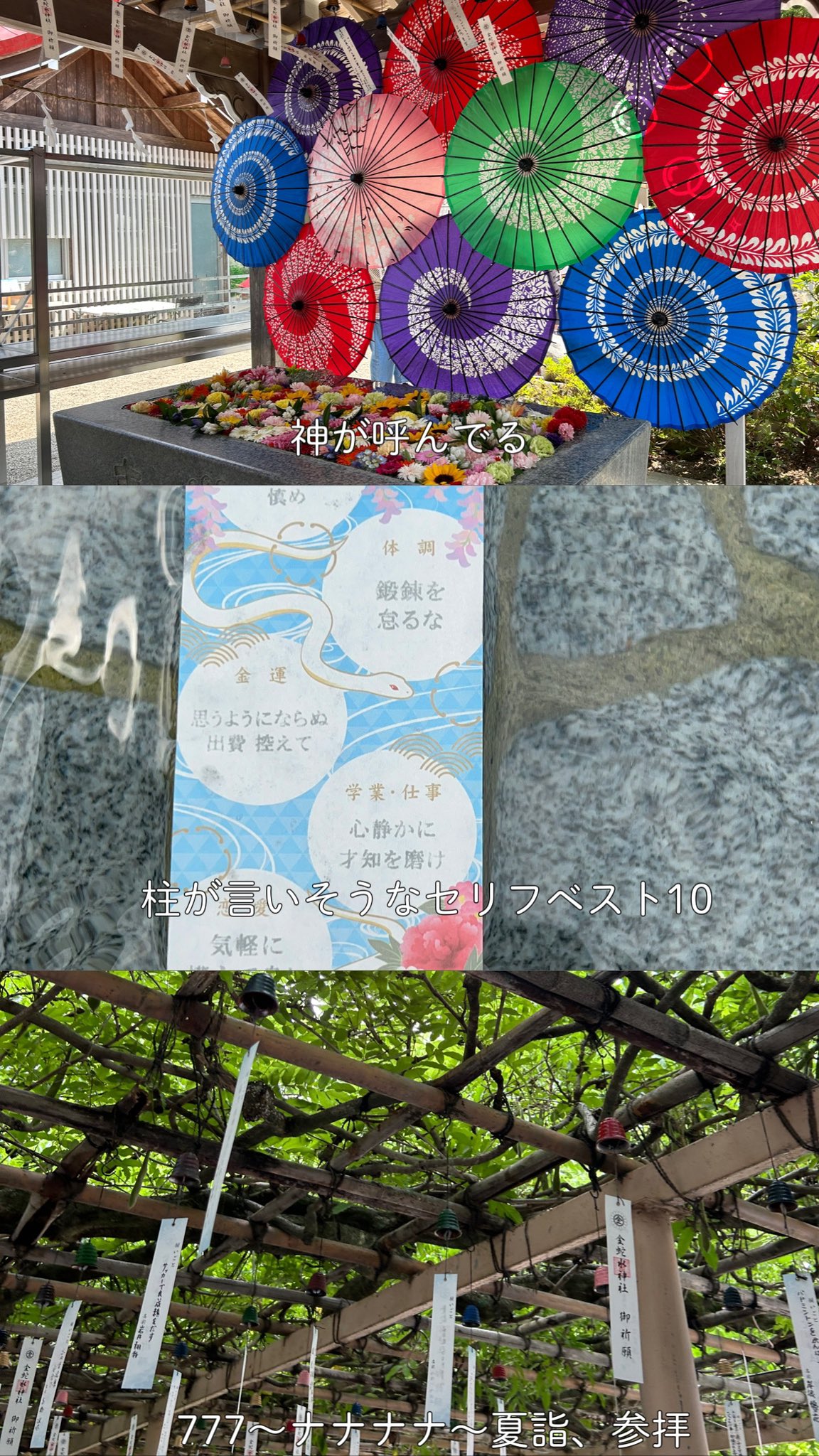 【中古】 風の洗礼 金南祚詩集/花神社/金南祚 中古】 風の洗礼 金南祚詩集/花神社/金南祚