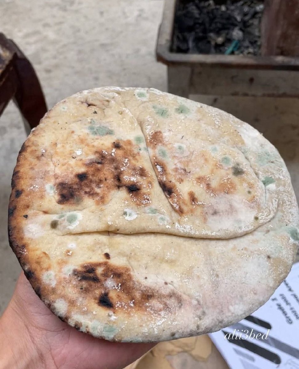 3 replies — even dots — can break the
 algorithm 😭

Donate to us 😭
🍉goget.fund/41WfESL