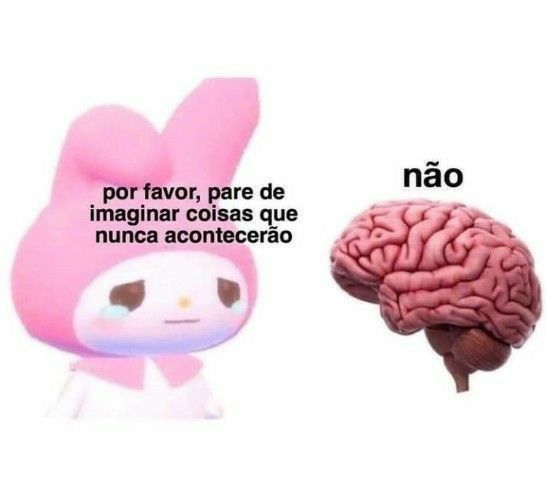 perfil dedicado a gatinhos e peitos (@odeiootaco) on Twitter photo 