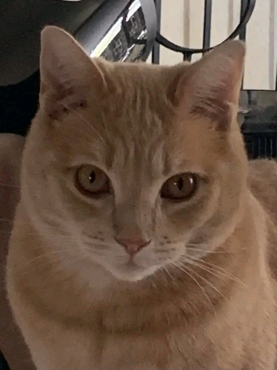 GraceAnna34412's tweet image. @GraceAnna34412