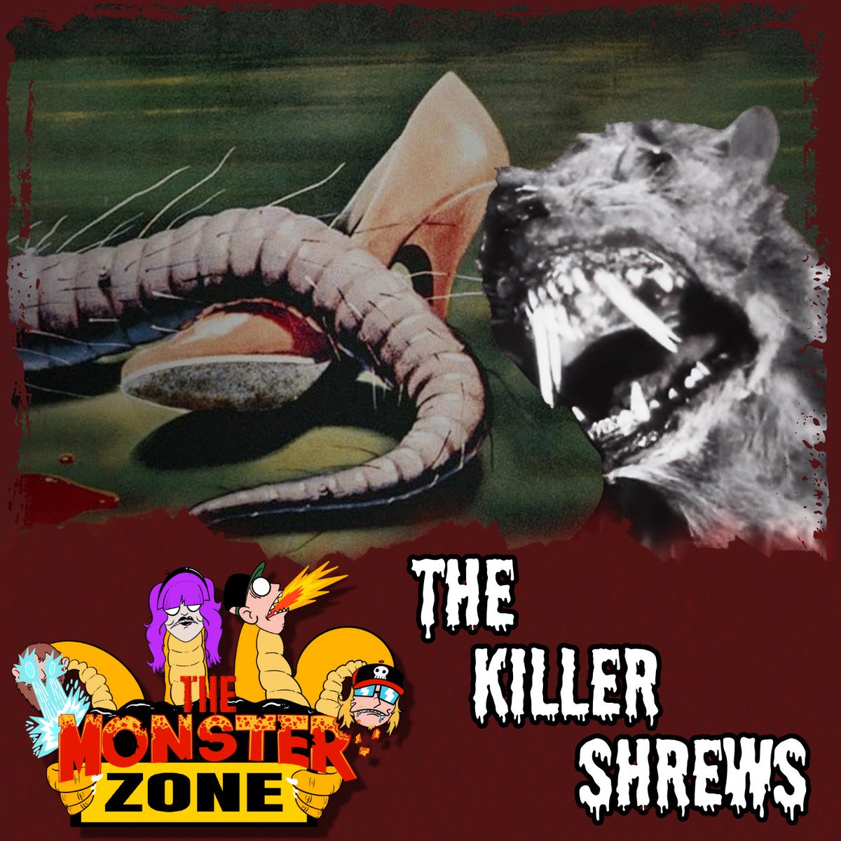 Dissect That Film 🔪🎞 (@dissectthatfilm) on Twitter photo NEW EPISODE!📣
THE MONSTER ZONE!👾
This week, we travel to an island to fight mutated animals, with 1959's THE KILLER SHREWS. 
Check it out wherever you get your podcasts. NEW EPISODE!📣
THE MONSTER ZONE!👾
This week, we travel to an island to fight mutated animals, with 1959's THE KILLER SHREWS. 
Check it out wherever you get your podcasts.