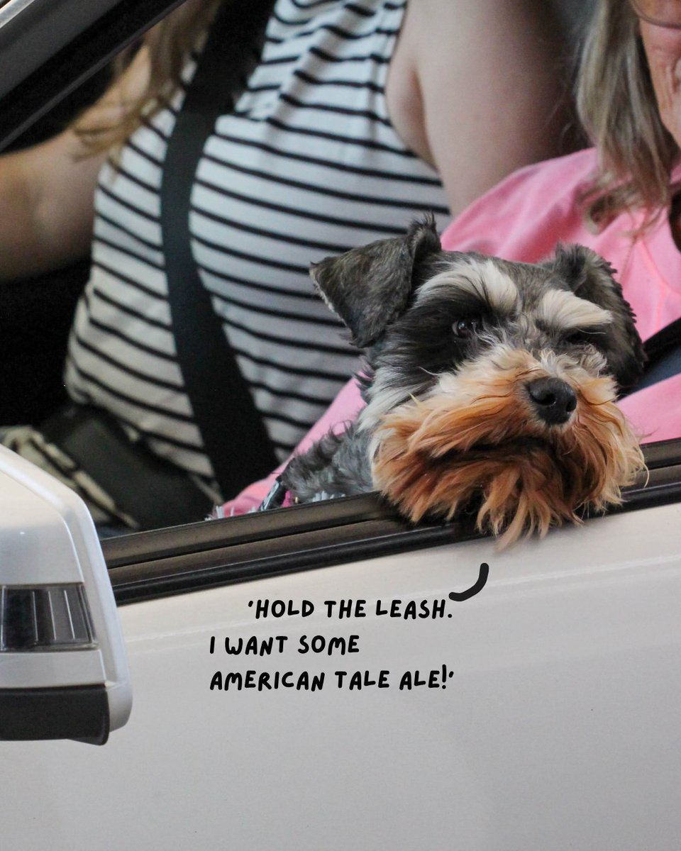 Weekend mood: let the Drive-Through do the work, so you can get straight to relaxing 🍻

Make the most of it before Monday..  the Drive-Through will be taking the day off. The rest of the Brewery will still be open on Monday (with slightly different hours).