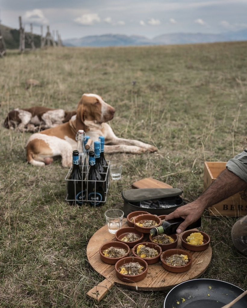 Explore Umbria tweet media