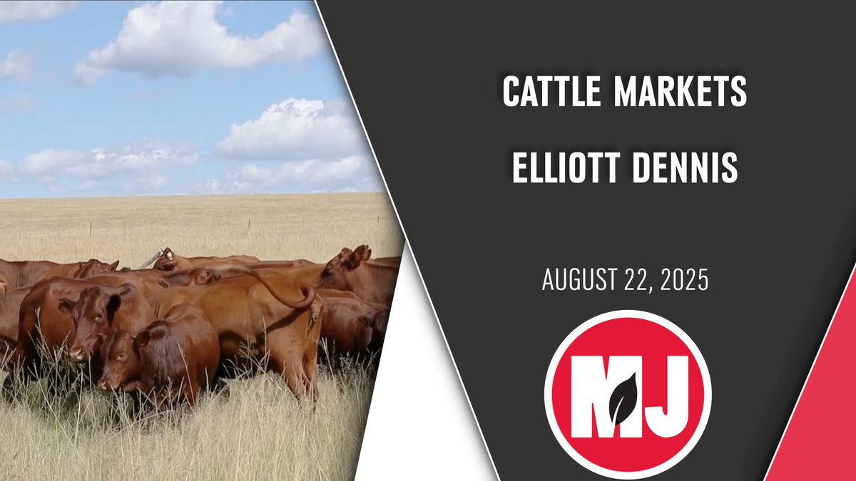 Record highs in the cattle market have been a cause for celebration for many producers as of late. We had the opportunity to sit down with University of Nebraska Ag Economist Elliott Dennis to get his take on this hot market.
youtu.be/Wkw2Q1AXBCs