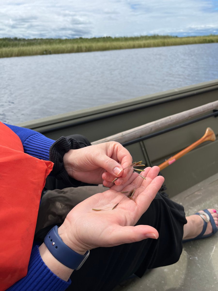 Amazing to see the brand new Bad River Health and Wellness Center with Chairman Blanchard and getting on the water to learn about manoomin (wild rice) in the Kakagon Sloughs with Joseph Gokee, Secretary Blumenfeld and the DOA team. #BadRiver #TribalNation