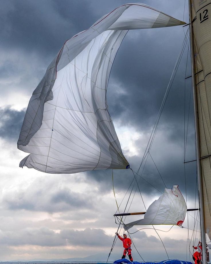 Delight Moments (@delightmoments_) on Twitter photo 