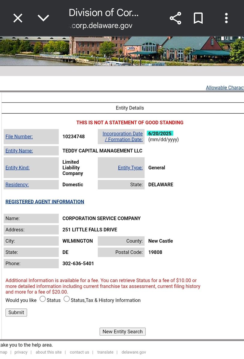 Teddy Capital Management LLC was incorporated in Delaware out of 251 Little  Falls on June 20, 2025. ​This happened just three days after GameStop  completed its $2.25 billion bond offering on June