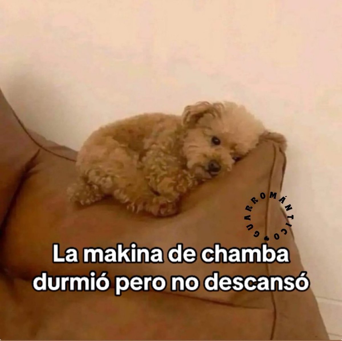 Yo en estos momentos: