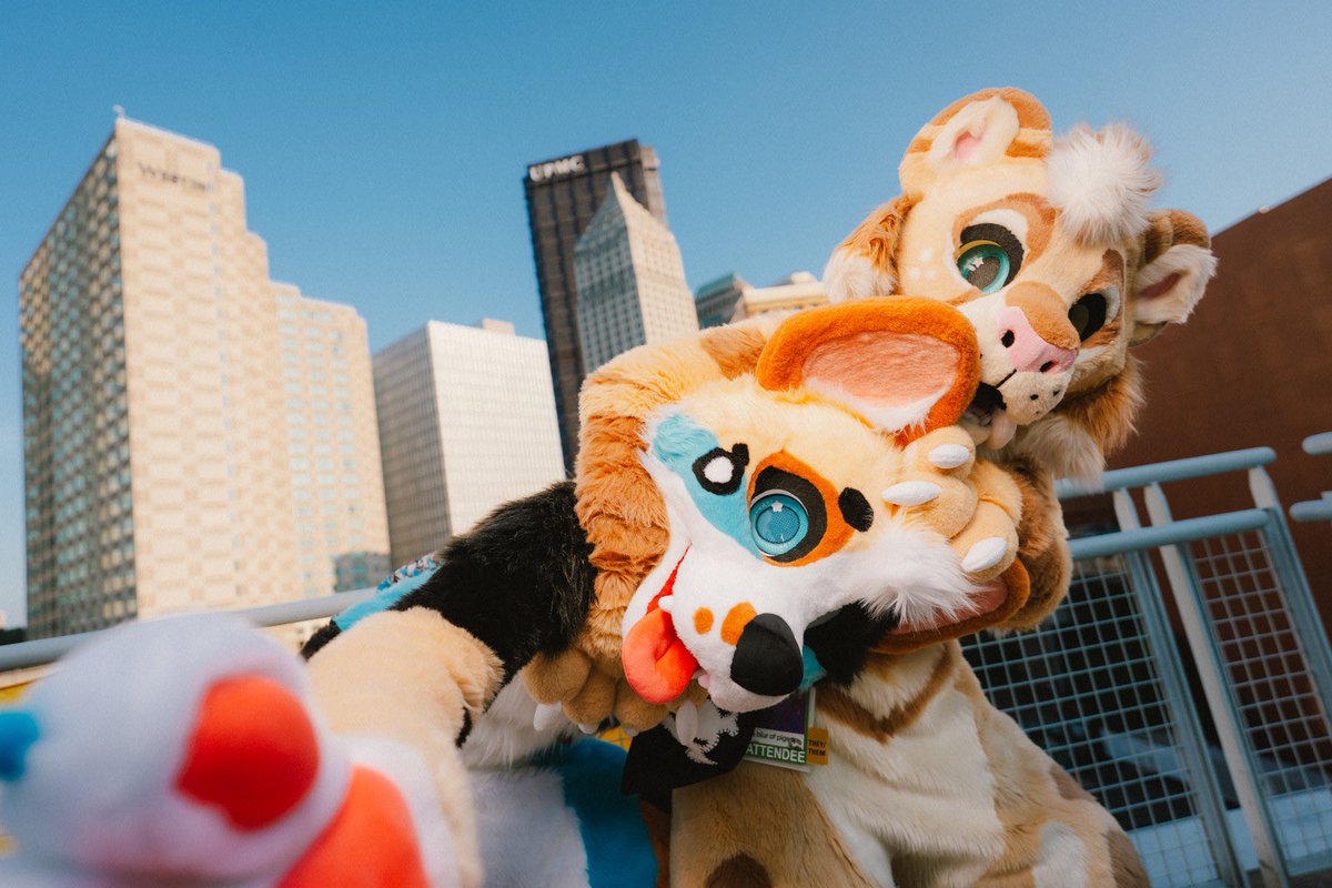 ✘ 𝕱𝖎𝖓𝖓𝖊𝖌𝖆𝖓 𝕭𝖑𝖚𝖊 ✘ tweet media