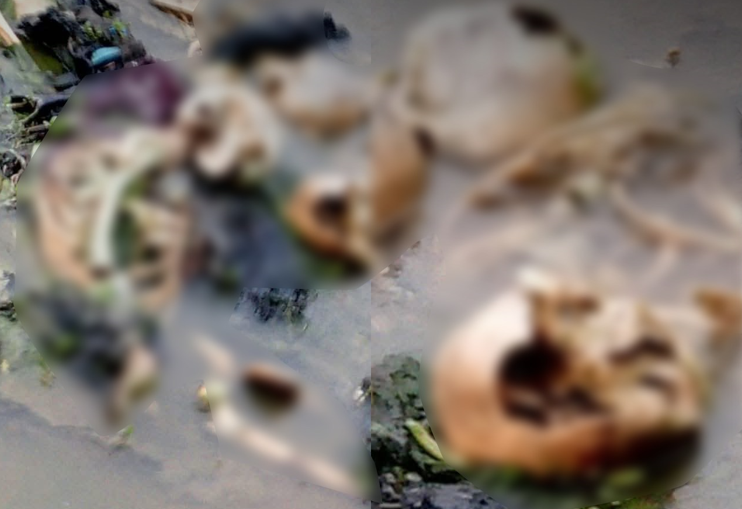 Arakan Militias Continue to Pressure Buthidaung Residents to Blame Myanmar Military for Massacre

Read more: arakanna.net/en/lvmr

#Arakan_News_Agency