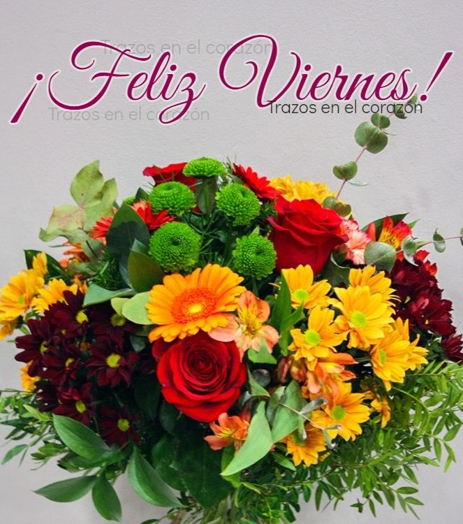 <a href="/WjmNe/">Astroboy🚀 desde la Argentina te sigo en el mundo</a> 🌸🌸💕💕