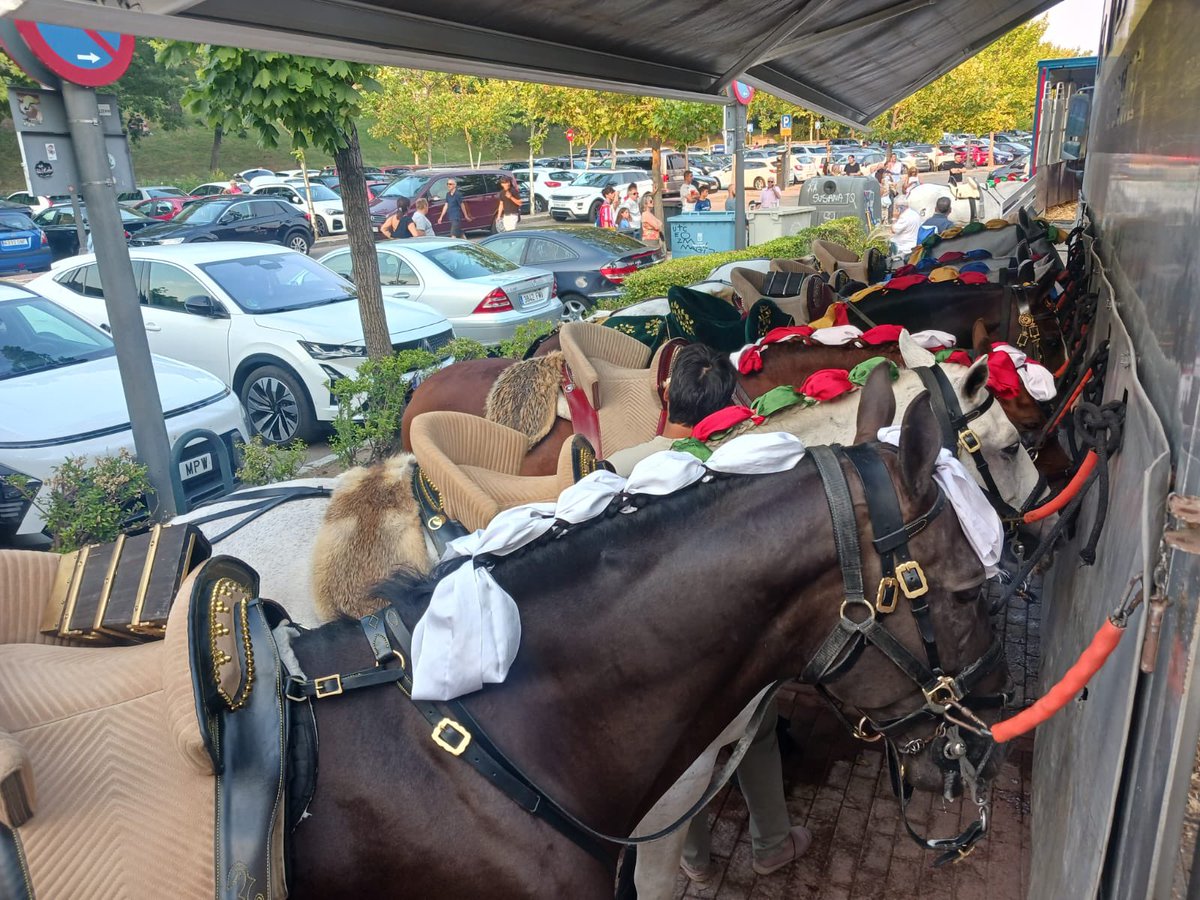 Paco Velásquez tweet media