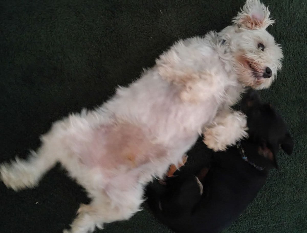 Caitlin Koi 🌈 tweet media