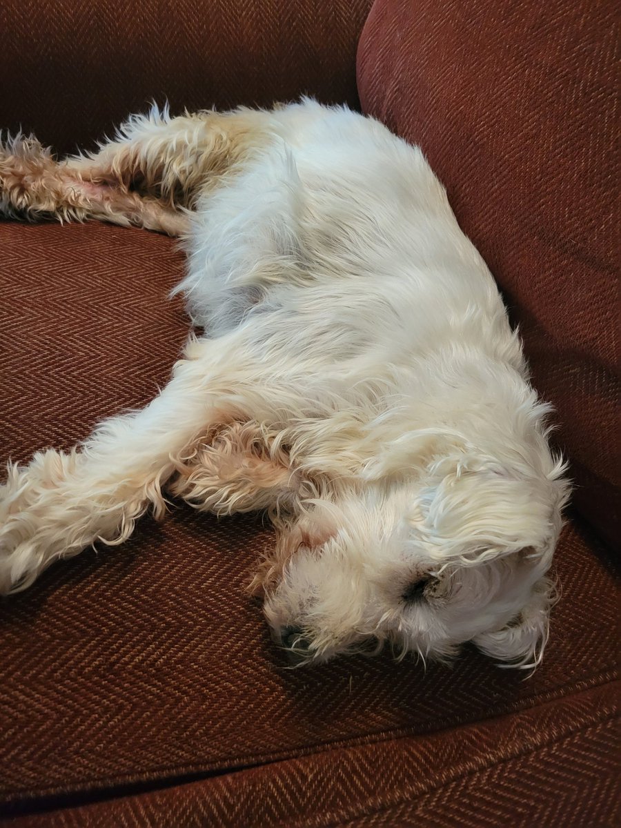 Caitlin Koi 🌈 tweet media