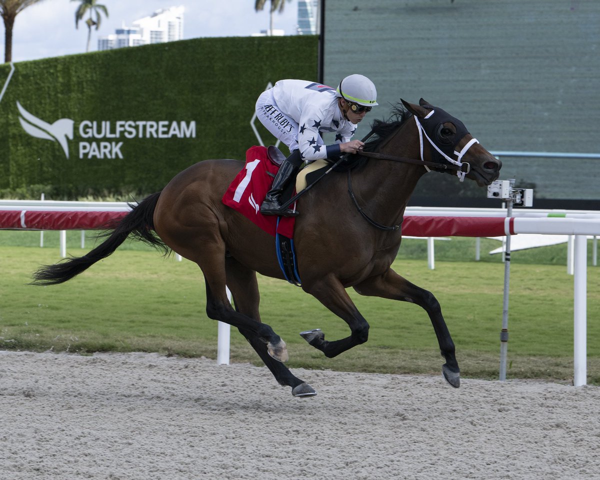 CaribePalma's tweet image. Fanaticada hípica, hoy viernes #22Agosto 12:05 pm podrán disfrutar de nuestra transmisión multitrack en vivo y en Español para los hipódromos #GulfstreamPark,
@MonmouthPark y @WoodbineTB por nuestra señal @CanalHipicaTV

Conectate 👇🏻
YouTube.com/HipicaTV/live