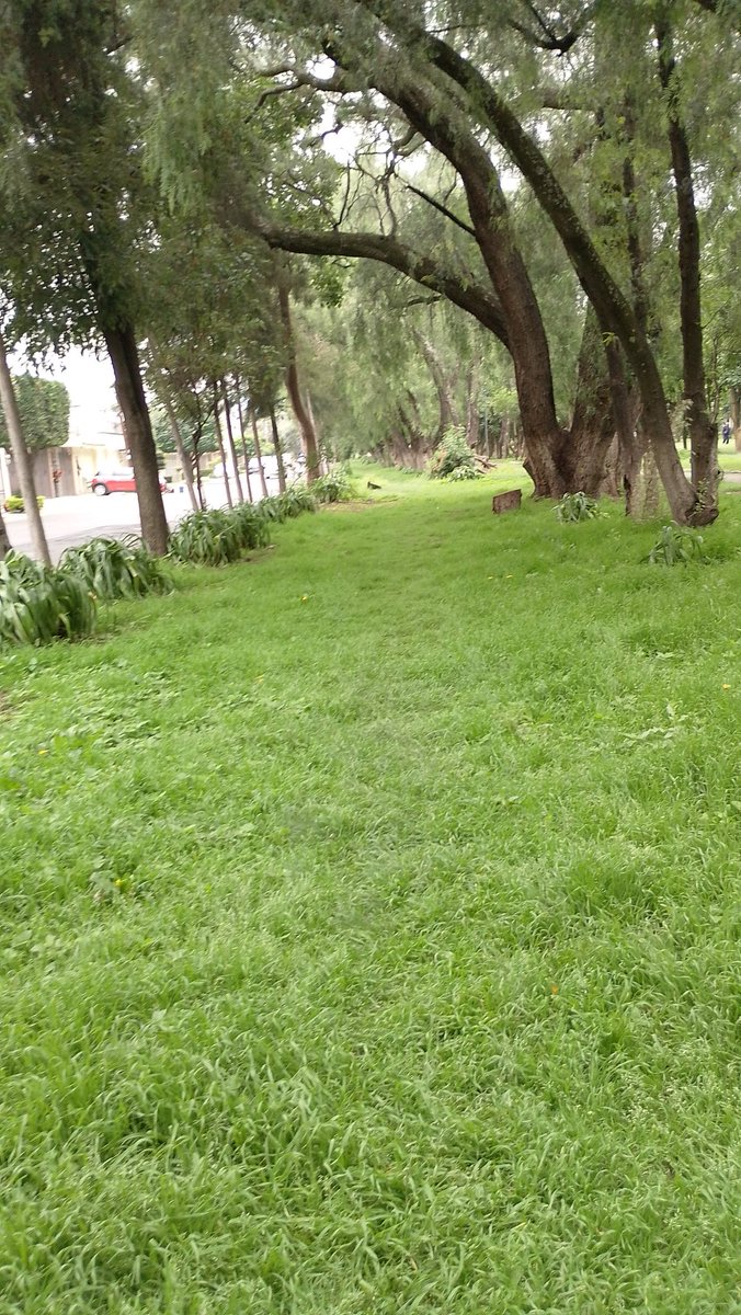 La frescura , el vigor y la alegría los acompañe en este día. 

#FelizViernes 🌹☕🫶