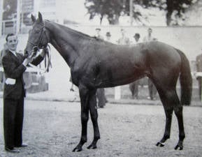 HORSERACING1002's tweet photo. DO WELL🇮🇪1948
(ROSEWELL ● DASARATHA BY DASTUR)
#DoWell
B/ Aga Khan 🇮🇪1948
O/ J. Lunn/ Haras Maranguape
Blandford S, Champion S, Irish St Leger S, Gran Premio Salgado Filho,
2nd National Produce S,
3rd Gallinule S,
Winner in Brazil 🇧🇷 & Ireland 🇮🇪 https://t.co/zSjAeg76DA