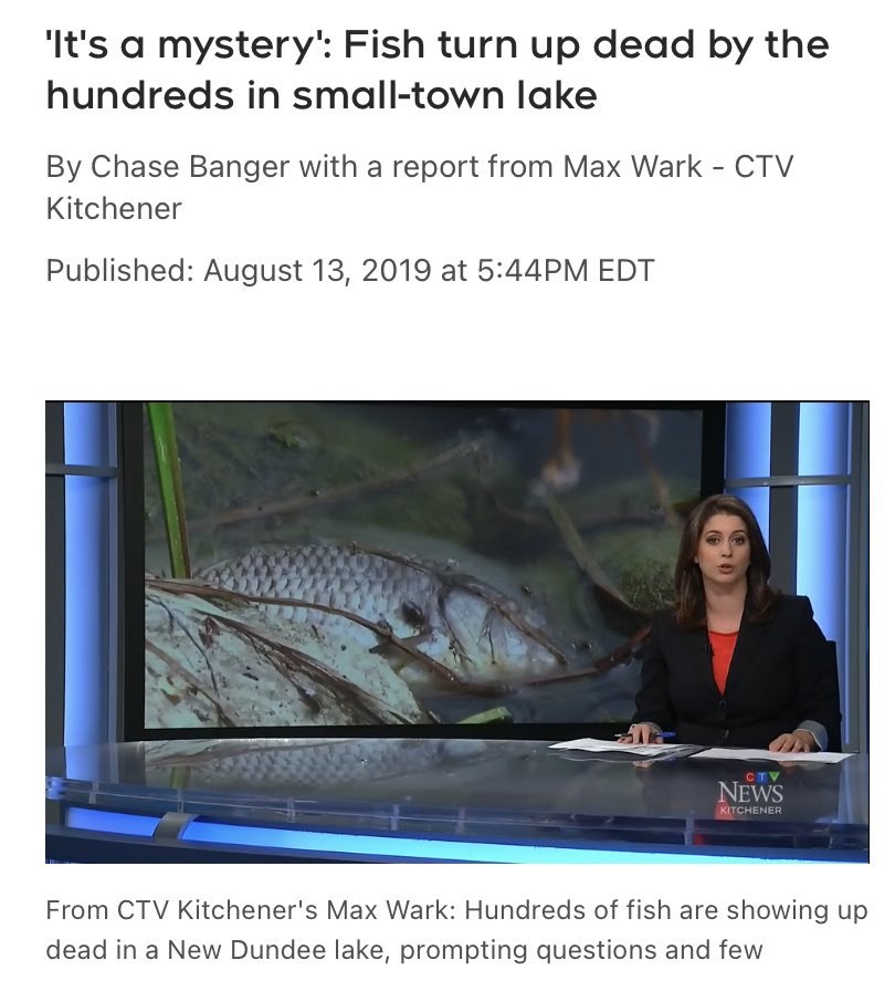 For the past several years FISH have been mysteriously DYING….

Could it be the GLYPHOSATE that is being sprayed?