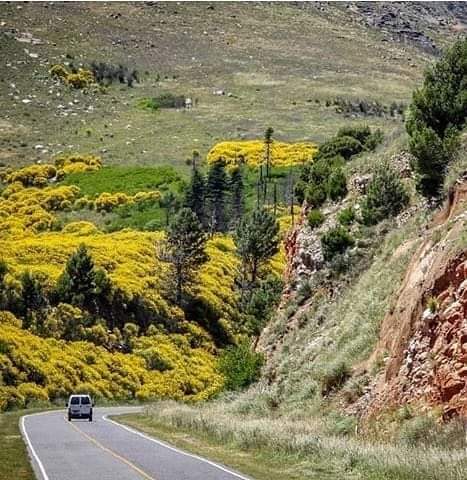 <a href="/WjmNe/">Astroboy🚀 desde la Argentina te sigo en el mundo</a> Gracias igualmente bendiciones