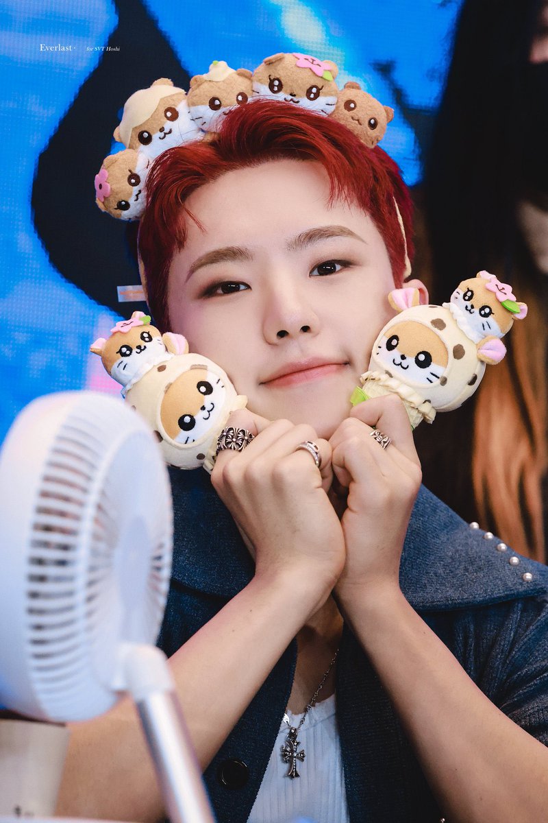 新品！！SEVENTEENクッキー型ホシくんいっぱい♡ ホシ君29歳の誕生日を祝おう！SEVENTEENの特別な日🎉