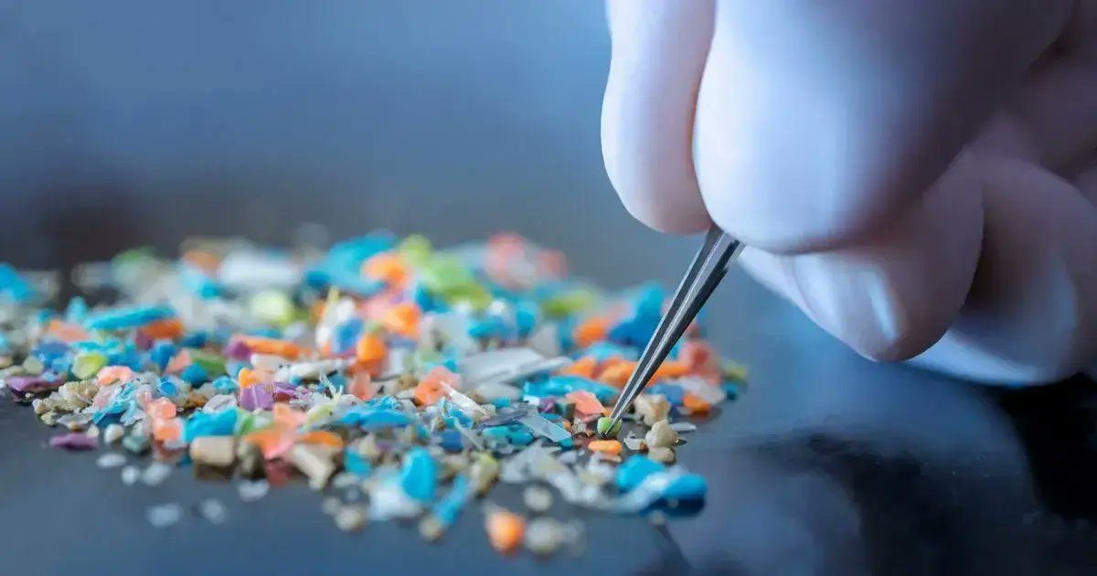 omarsery1's tweet photo. V těchto dnech v našich laboratořích instalujeme špičkový unikátní mikroskop, který nám umožní analyzovat nejrůznější materiály i tkáně na přítomnost mikroplastů. Postupně v naší laboratoři zahájíme novou éru výzkumu. Budu zde časem referovat o našich výsledcích. #mikroplasty https://t.co/VqCq8swGIH