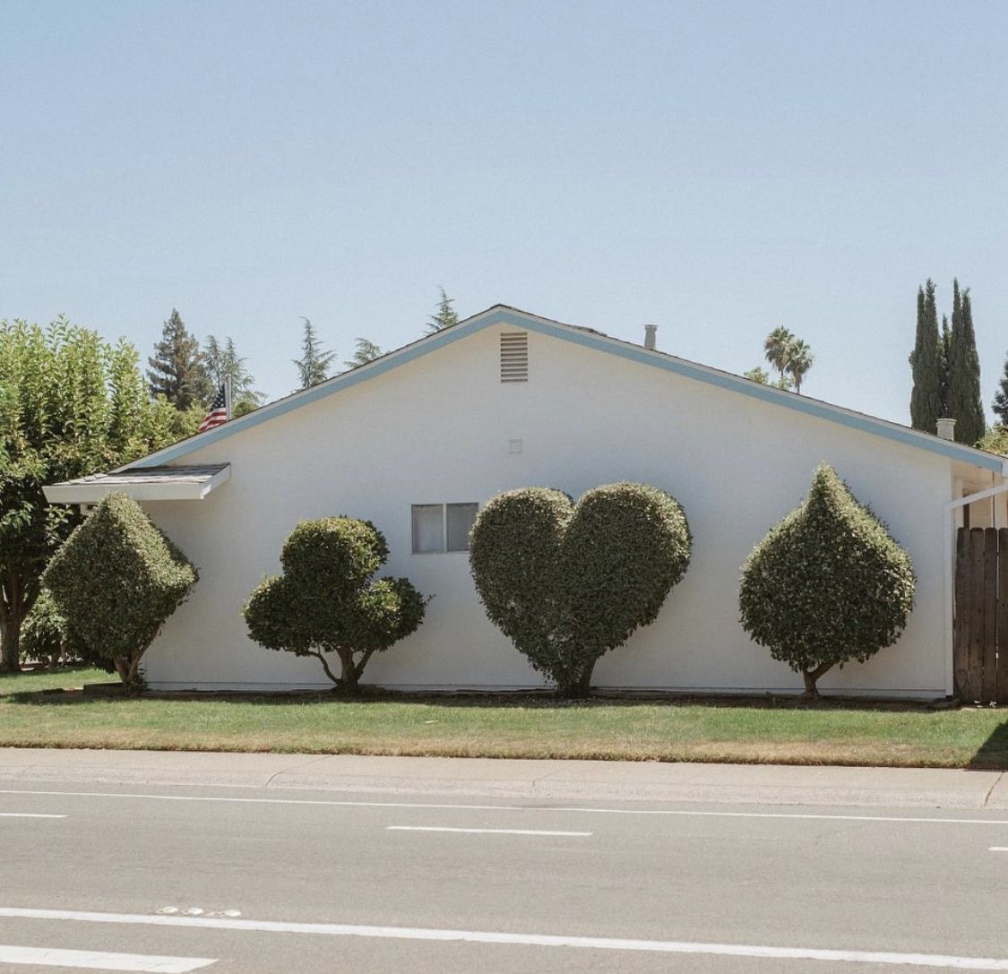 web.jpg (@webjpg) on Twitter photo 