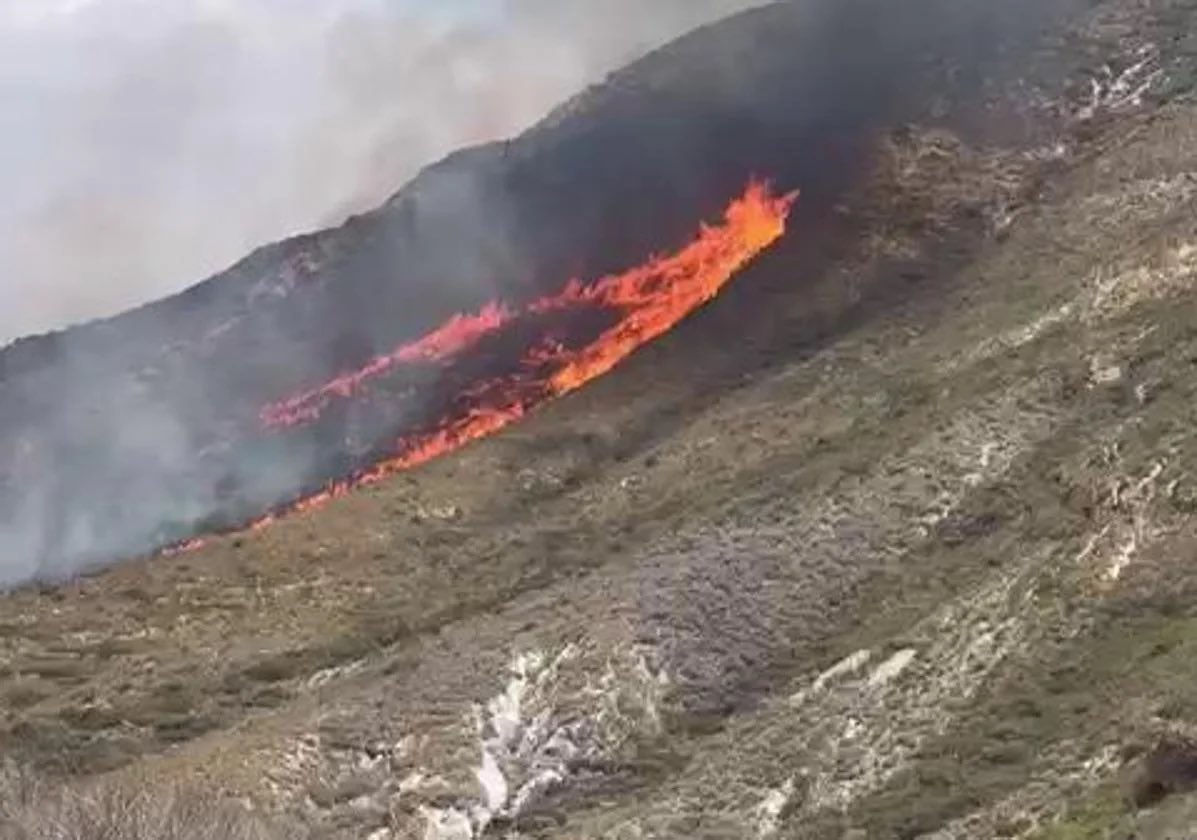Incendio actualmente activo en las Cuestas del Cedacero.

‼️ Extremad la precaución y seguid la información a través de los medios oficiales.