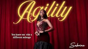 Naija102FM's tweet photo. #Np -Agility By @itsabrinalove  Ontop #Workchop wt @GodwinAruwayo &amp; @Joypanam
#TuneIn https://t.co/vvhywMYtAD