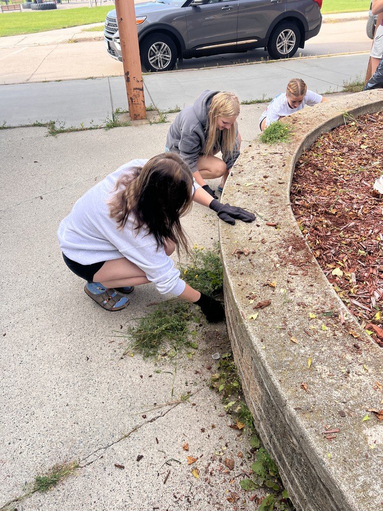 chisholmmn695's tweet image. 💙❤️ A big shoutout to our Chisholm Bluestreak swimmers! 💙❤️

Today they stepped up to give back to the school by cleaning up and weeding the planter at the Vaughan. 🌱👏 Their teamwork, pride, and dedication shine both in and out of the pool! #BluestreakPride #Teamwork