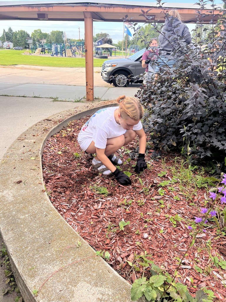 chisholmmn695's tweet image. 💙❤️ A big shoutout to our Chisholm Bluestreak swimmers! 💙❤️

Today they stepped up to give back to the school by cleaning up and weeding the planter at the Vaughan. 🌱👏 Their teamwork, pride, and dedication shine both in and out of the pool! #BluestreakPride #Teamwork