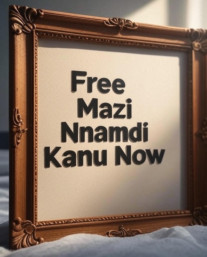 7FreemanRemy's tweet photo. #FreeMaziNnamdiKanu https://t.co/nS7D4SLvBb