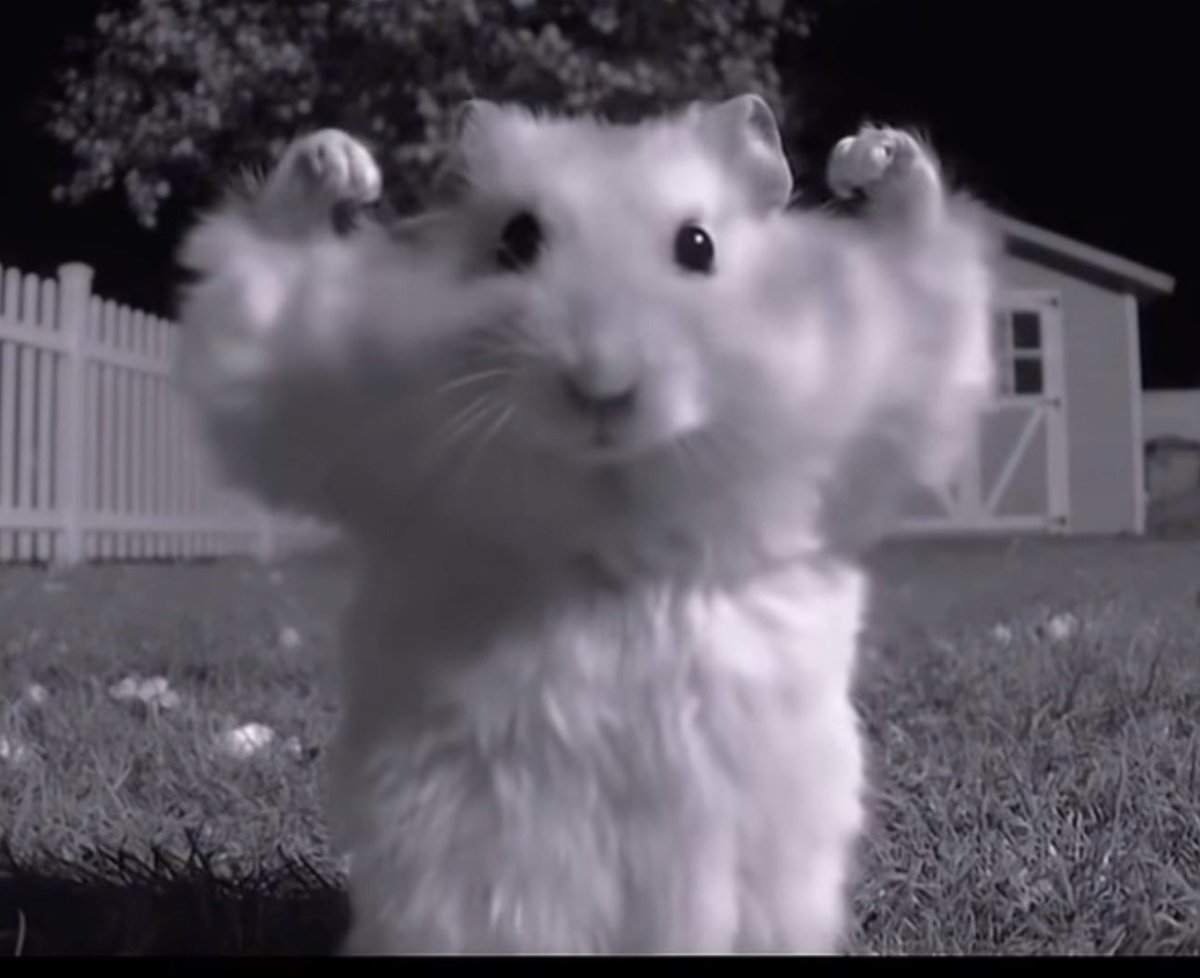 YourShadow tweet media