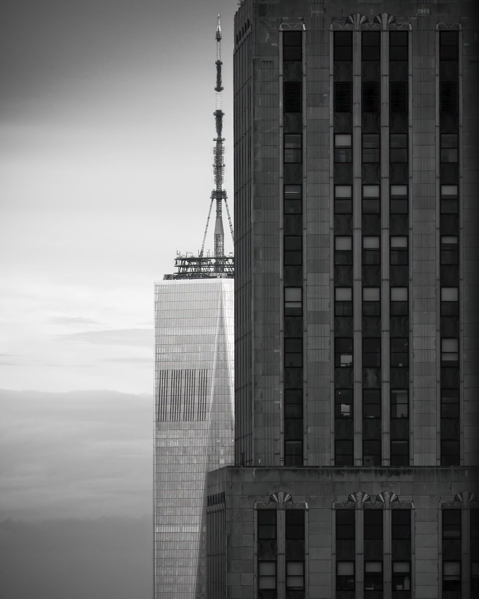 Yoo-hoo! Over here! Gm!