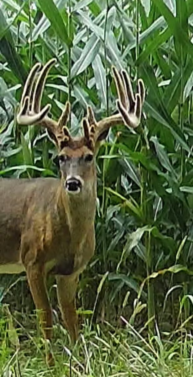 Luv2Hunt1968's tweet photo. @HunterNation https://t.co/DS3d8GNHbL