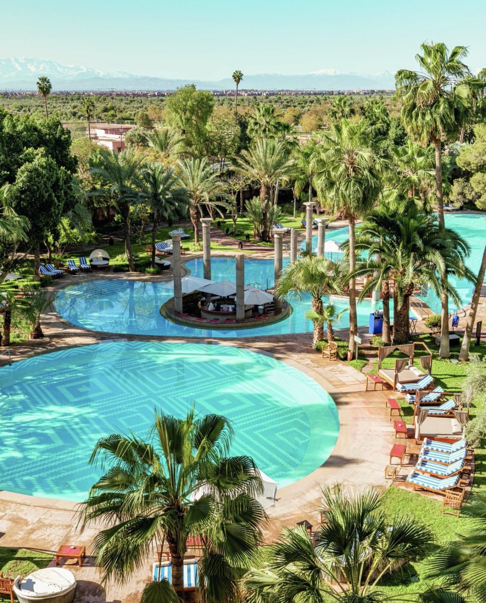 Javier Tsunamy tweet media