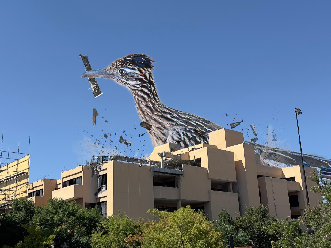 Univ. of New Mexico tweet media