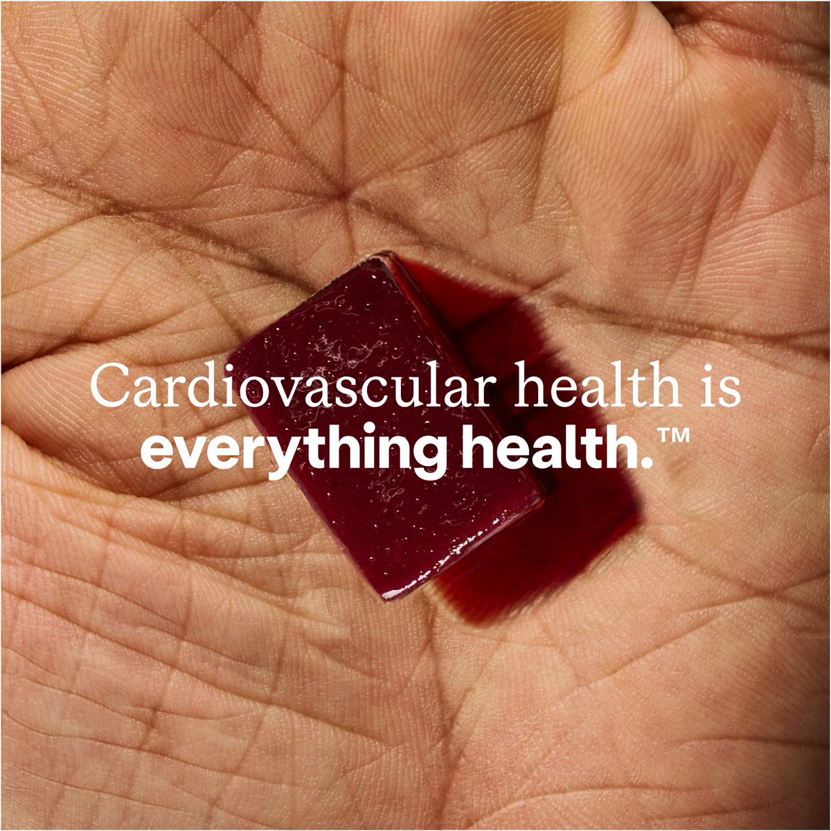 BeetElite tweet media