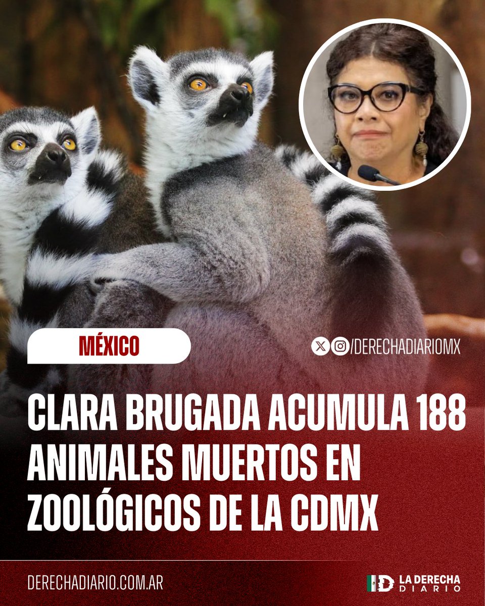 🚨🇲🇽 | INDIGNANTE: Al menos 188 animales han muerto por negligencia en los zoológicos de la CDMX, debido a que la inútil jefa de gobierno Clara Brugada mantiene a gente incompetente a cargo de su cuidado, a pesar de las múltiples denuncias de organizaciones protectoras de