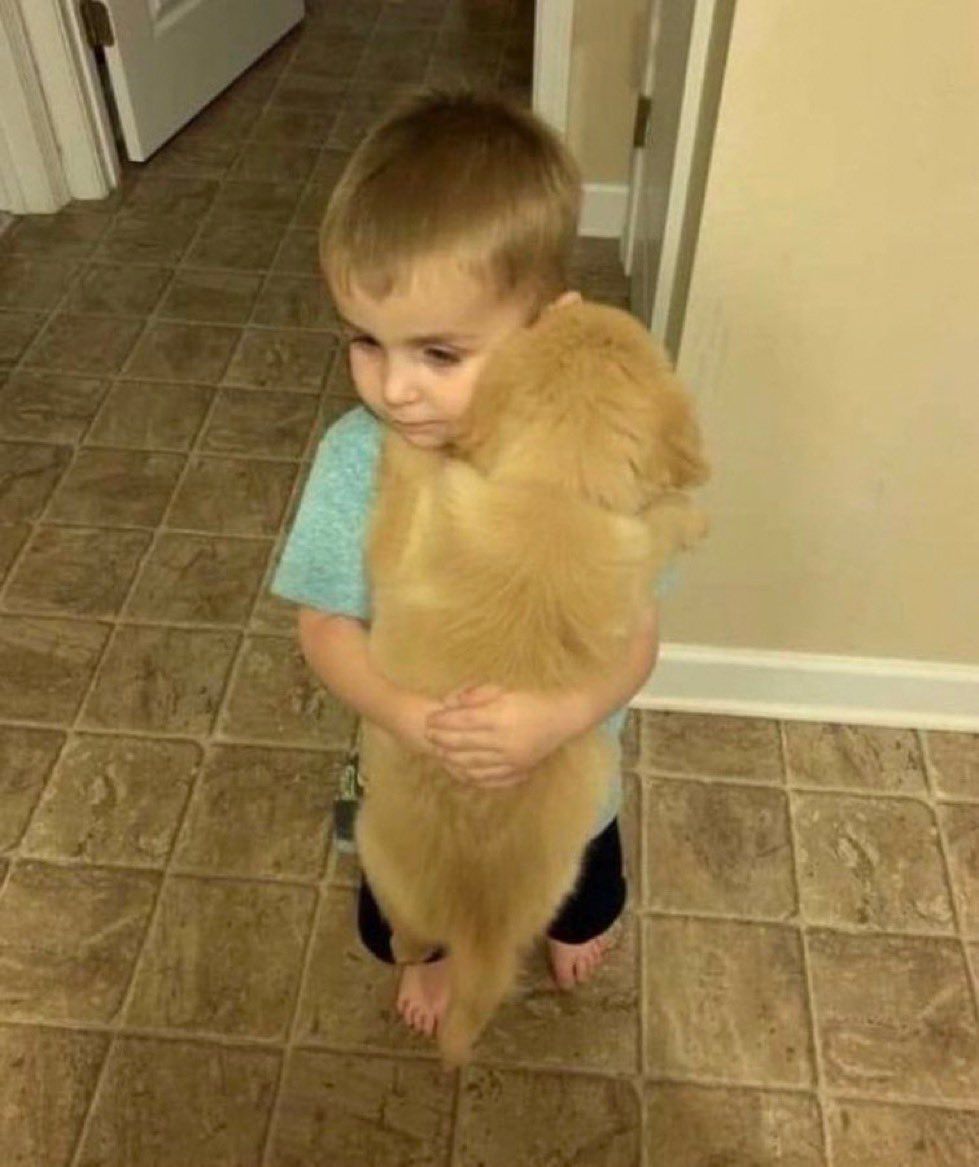 yo cuando voy a casa de alguien y tiene perro: