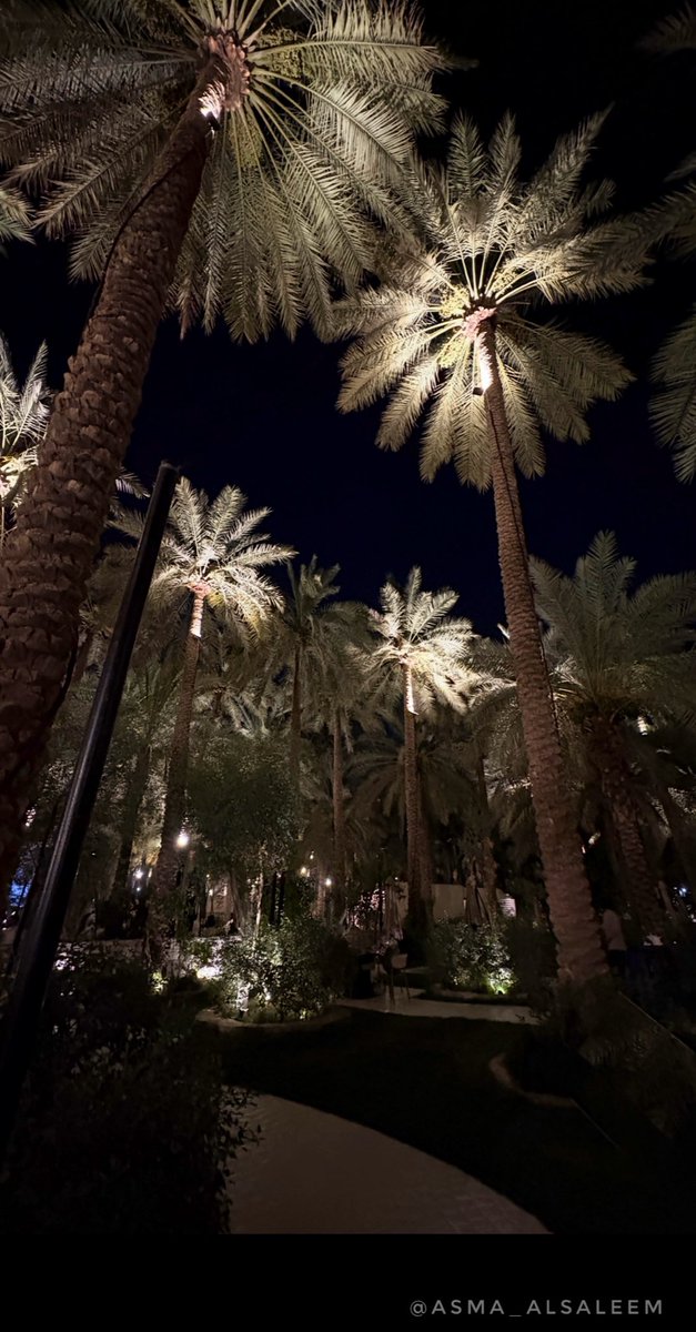 ✨ليالي #عنيزة 🤎