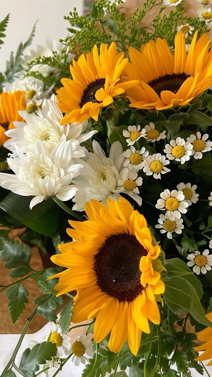 sunflowerchives's tweet photo. Sunflowers or daisies? 
Pick your vibe and tell me why. https://t.co/DlLrLaT6m2
